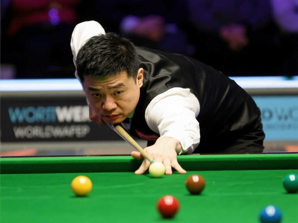 见证了这对 见证了这对