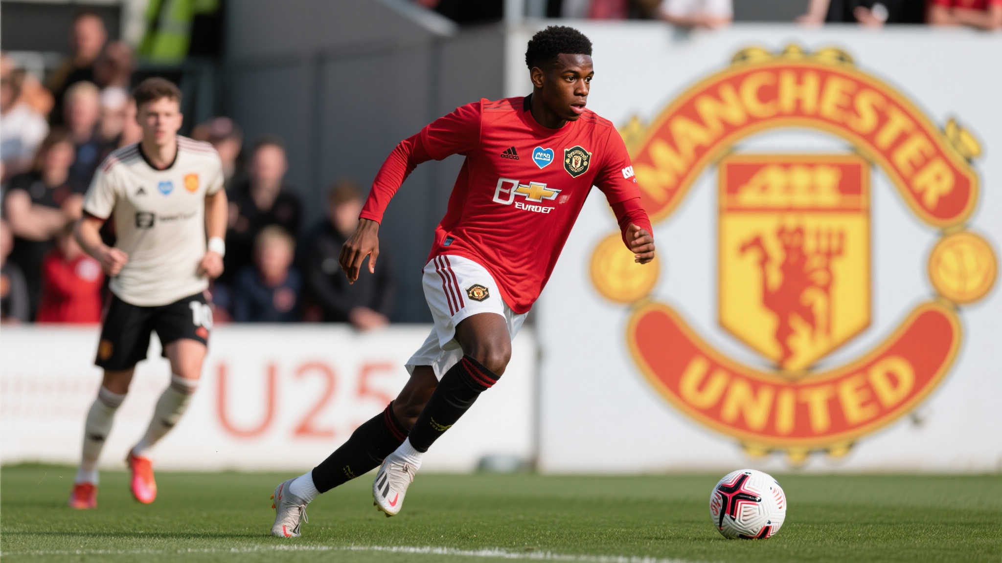 他的决定不 他的决定不